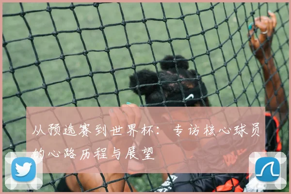 从预选赛到世界杯：专访核心球员的心路历程与展望